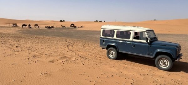Screenshot_20250629_093007_WhatsApp Landrover One Ten V8 1983